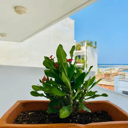 Korona I Sea View شقة